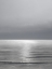 Picture of MOONLIT OCEAN GRAY III