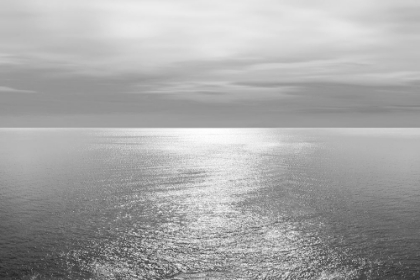 Picture of OCEAN LIGHT GRAY IV