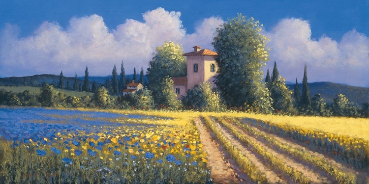 Picture of SUMMER FIELDS II