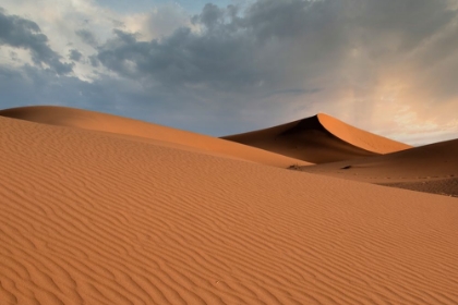 Picture of SAND DUNES GLOW ORANGE AT SUNSET IN THE SAHARA DESERT.