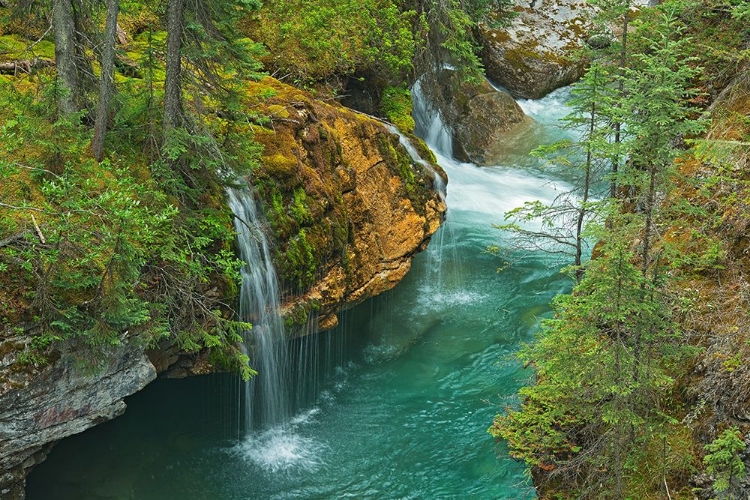 Picture of CANADA- ALBERTA- JASPER NATIONAL PARK. OVERVIEW OF MALIGNE RIVER FLOWING THROUGH MALIGNE CANYON.