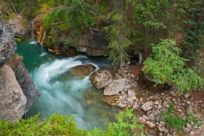 Picture of CANADA- ALBERTA- JASPER NATIONAL PARK. OVERVIEW OF MALIGNE RIVER FLOWING THROUGH MALIGNE CANYON.