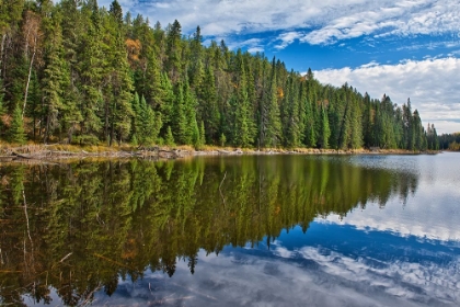 Picture of CANADA- MANITOBA. PRIESTON LAKE DUCK MOUNTAIN PROVINCIAL PARK.