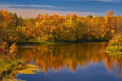 Picture of CANADA- MANITOBA. AUTUMN SCENE- GRINDSTONE POINT ROAD AND HWY 8.