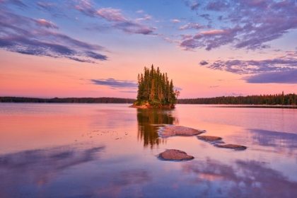 Picture of CANADA- MANITOBA- PAINT LAKE PROVINCIAL PARK. ISLAND ON PAINT LAKE AT SUNRISE.