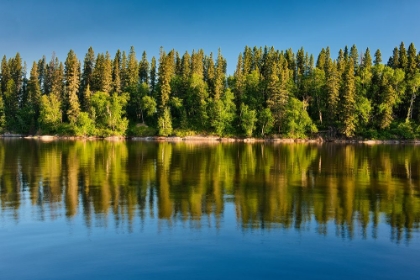 Picture of CANADA- MANITOBA- PAINT LAKE PROVINCIAL PARK. FOREST REFLECTIONS ON PAINT LAKE.