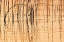 Picture of CANADA- MANITOBA- WEKUSKO FALLS PROVINCIAL PARK. REEDS REFLECT PATTERNS IN WEKUSKO LAKE.
