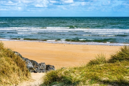 Picture of OMAHA BEACH- NORMANDY- FRANCE