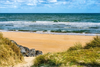 Picture of OMAHA BEACH- NORMANDY- FRANCE