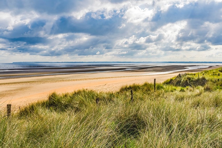 Picture of UTAH BEACH- BEACH GRASS- NORMANDY- FRANCE.