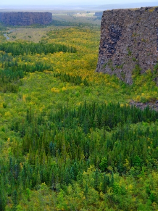 Picture of ASBYRGI CANYON IN VATNAJOKULL NATIONAL PARK-ICELAND