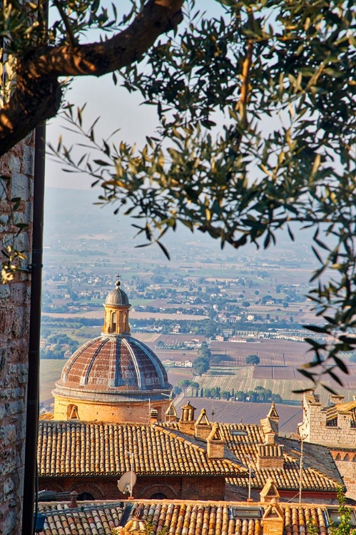 Picture of ITALY- UMBRIA- ASSISI. THE DOME OF THE CONVENTO CHIESA NUOVA WITH THE COUNTRYSIDE IN THE DISTANCE.