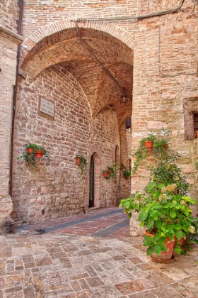 Picture of ITALY- UMBRIA. ARCHWAY WITH POTTED FLOWERS IN THE STREETS OF ASSISI.