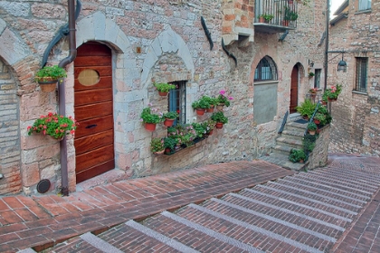 Picture of ITALY- UMBRIA- ASSISI. WALKWAY ALONG THE STREETS OF ASSISI LINED WITH FLOWERING POTS.