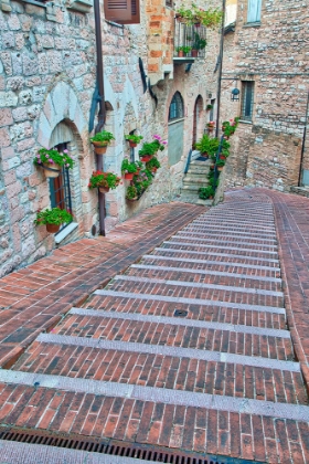 Picture of ITALY- UMBRIA- ASSISI. WALKWAY ALONG THE STREETS OF ASSISI LINED WITH FLOWERING POTS.