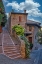 Picture of ITALY- UMBRIA. HOMES ALONG THE STREETS OF ASSISI.