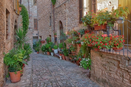 Picture of ITALY- UMBRIA. SCENIC SIGHT IN SPELLO- FLOWERY AND PICTURESQUE VILLAGE.