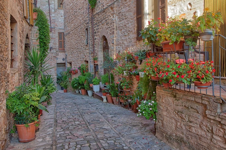 Picture of ITALY- UMBRIA. SCENIC SIGHT IN SPELLO- FLOWERY AND PICTURESQUE VILLAGE.