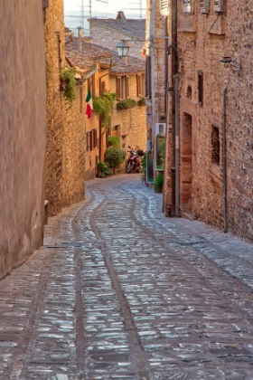 Picture of ITALY- UMBRIA. COBBLESTONE STREET IN THE TOWN OF SPELLO.