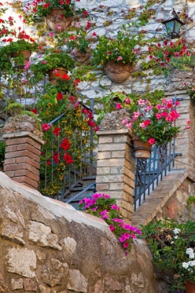 Picture of ITALY- UMBRIA- ASSISI. ENTRANCE TO A HOME WITH FLOWERING POTS ON STONE WALL.