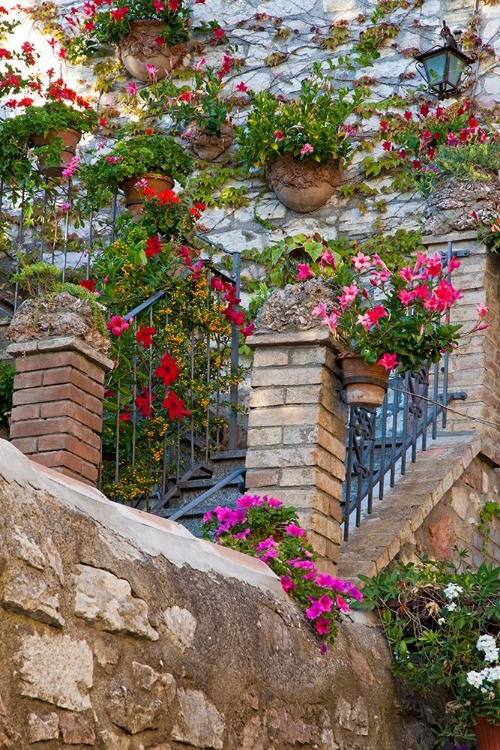 Picture of ITALY- UMBRIA- ASSISI. ENTRANCE TO A HOME WITH FLOWERING POTS ON STONE WALL.