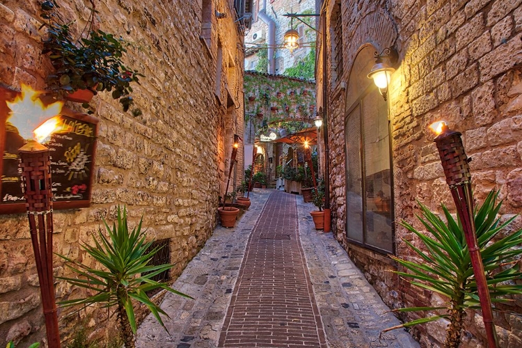 Picture of ITALY- UMBRIA. STREET LINED WITH FLOWER POTS IN THE TOWN OF ASSISI.