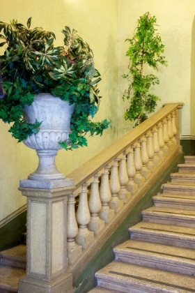 Picture of ITALY- UMBRIA- SPOLETO. CONCRETE URN FILLED WITH GREENERY ON THE END OF A BANISTER OF A STAIRCASE.