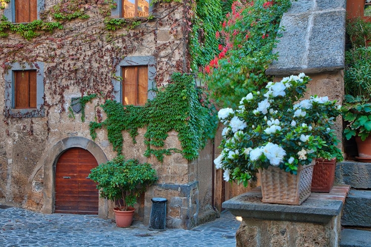 Picture of ITALY- TUSCANY. IN AND AROUND THE MEDIEVAL HILLTOWN OF CIVITA DI BAGNOREGIO.