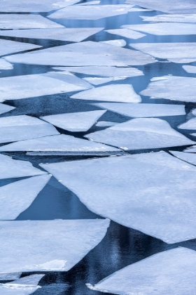 Picture of NORWAY- LOFOTEN ISLANDS. BROKEN ICE ON LAKE STORVATENT