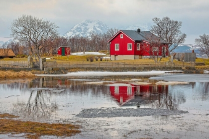 Picture of NORWAY- LOFOTEN ISLANDS. VIEW ACROSS INDREPOLLEN LAKE.