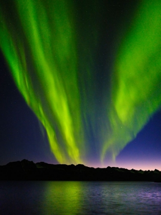 Picture of NORTHERN LIGHTS OVER ANGMAGSSALIK FJORD-GREENLAND- DANISH TERRITORY