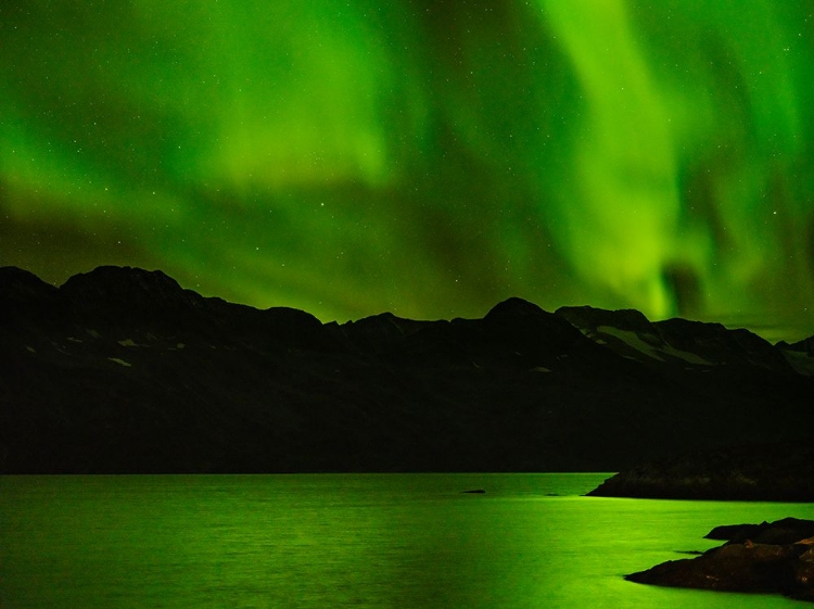 Picture of NORTHERN LIGHTS OVER ANGMAGSSALIK FJORD-GREENLAND- DANISH TERRITORY