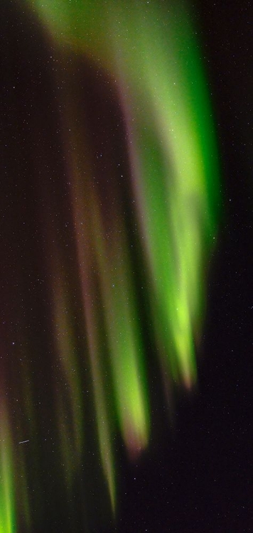 Picture of NORTHERN LIGHTS OVER ANGMAGSSALIK FJORD-GREENLAND- DANISH TERRITORY