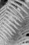 Picture of FERN.