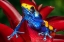 Picture of CLOSE-UP OF POISON DART FROG ON PLANT.