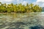 Picture of FRENCH POLYNESIA- TAHAA. OCEAN CORALS AND TROPICAL FOREST.