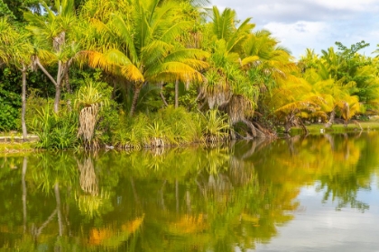 Picture of FRENCH POLYNESIA- TAHAA. TROPICAL LAGOON AND JUNGLE.