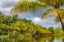 Picture of FRENCH POLYNESIA- TAHAA. TROPICAL LAGOON AND JUNGLE.