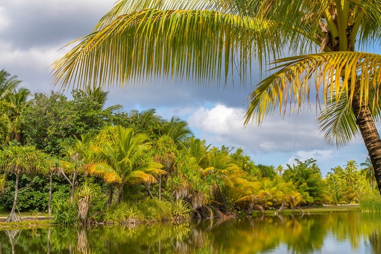 Picture of FRENCH POLYNESIA- TAHAA. TROPICAL LAGOON AND JUNGLE.