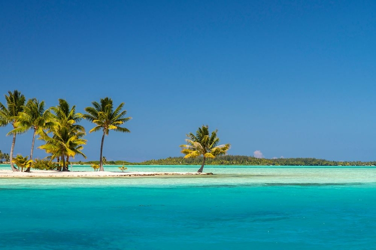 Picture of FRENCH POLYNESIA- BORA BORA. MOTU TANE PRIVATE ISLAND IN LAGOON.