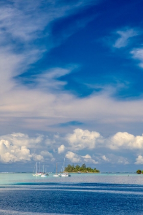 Picture of FRENCH POLYNESIA- MOOREA. MOORED BOATS AND SMALL ISLAND.