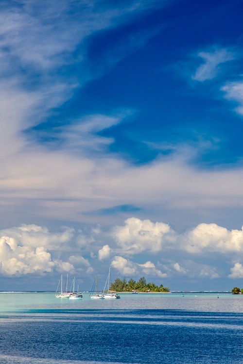 Picture of FRENCH POLYNESIA- MOOREA. MOORED BOATS AND SMALL ISLAND.