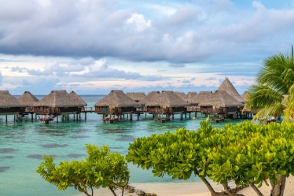 Picture of FRENCH POLYNESIA- MOOREA. OVERWATER BUNGALOWS.