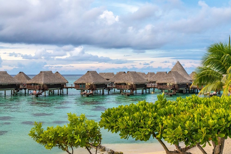 Picture of FRENCH POLYNESIA- MOOREA. OVERWATER BUNGALOWS.