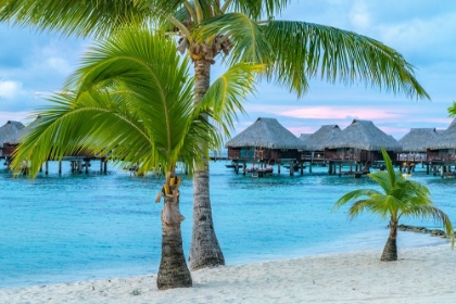 Picture of FRENCH POLYNESIA- MOOREA. OVERWATER BUNGALOWS