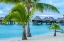 Picture of FRENCH POLYNESIA- MOOREA. OVERWATER BUNGALOWS