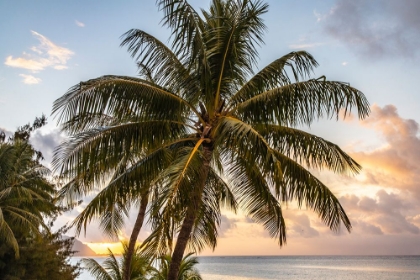 Picture of FRENCH POLYNESIA- MOOREA. SUNSET ON ISLAND AND OCEAN.