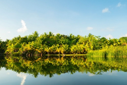 Picture of FRENCH POLYNESIA- TAHAA. TROPICAL JUNGLE REFLECTS IN LAGOON.