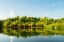 Picture of FRENCH POLYNESIA- TAHAA. TROPICAL JUNGLE REFLECTS IN LAGOON.
