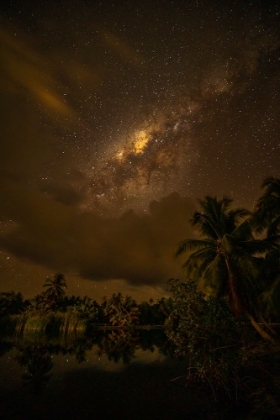 Picture of FRENCH POLYNESIA- TAHAA. PALM TREES AND NIGHT SKY WITH MILKY WAY.